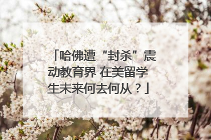 哈佛遭“封杀”震动教育界 在美留学生未来何去何从？