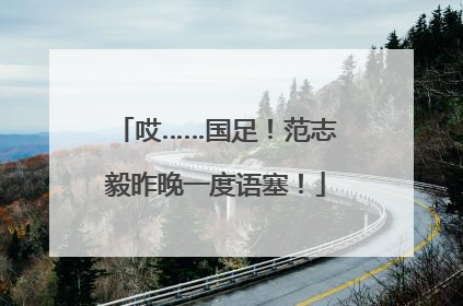 哎……国足！范志毅昨晚一度语塞！