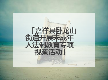 嘉祥县卧龙山街道开展未成年人法制教育专项视察活动