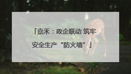嘉禾：政企联动 筑牢安全生产“防火墙”