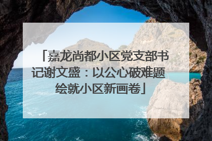 嘉龙尚都小区党支部书记谢文盛：以公心破难题 绘就小区新画卷