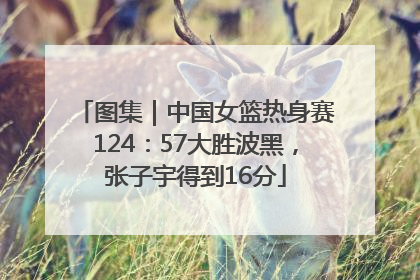 图集｜中国女篮热身赛124：57大胜波黑，张子宇得到16分