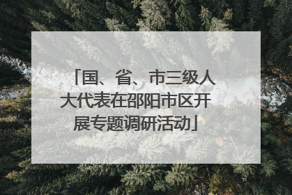 国、省、市三级人大代表在邵阳市区开展专题调研活动