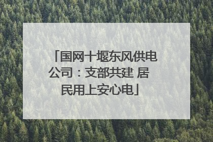 国网十堰东风供电公司：支部共建 居民用上安心电