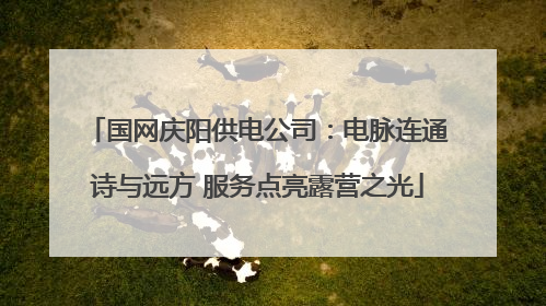 国网庆阳供电公司：电脉连通诗与远方 服务点亮露营之光