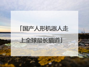 国产人形机器人走上全球最长猫道
