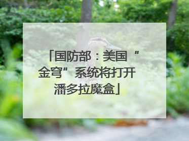 国防部：美国“金穹”系统将打开潘多拉魔盒
