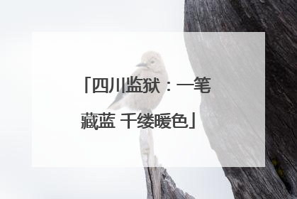 四川监狱：一笔藏蓝 千缕暖色