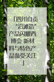 四川自贡“沿滩造”产品闪耀西博会 新材料与特色产品备受关注