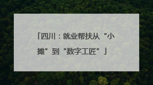 四川：就业帮扶从“小摊”到“数字工匠”