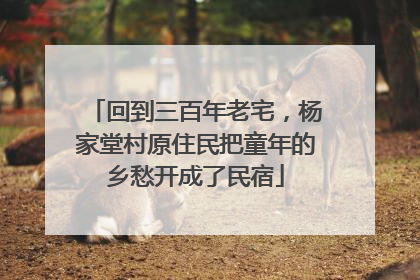 回到三百年老宅，杨家堂村原住民把童年的乡愁开成了民宿
