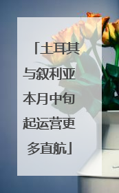 土耳其与叙利亚本月中旬起运营更多直航