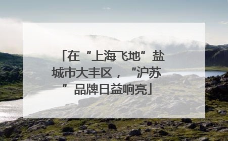 在“上海飞地”盐城市大丰区，“沪苏”品牌日益响亮