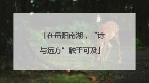 在岳阳南湖，“诗与远方”触手可及