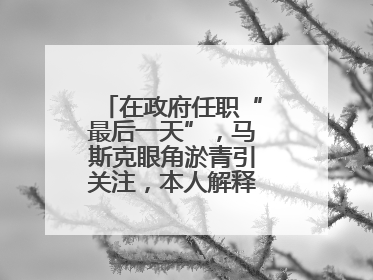 在政府任职“最后一天”，马斯克眼角淤青引关注，本人解释：儿子干的