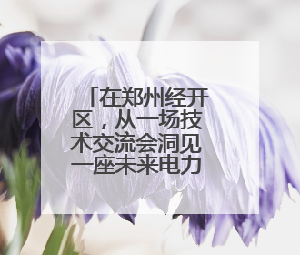在郑州经开区，从一场技术交流会洞见一座未来电力科技城