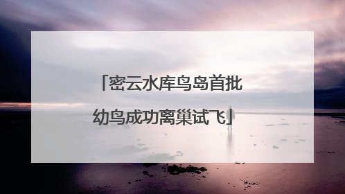 密云水库鸟岛首批幼鸟成功离巢试飞