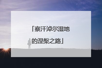 察汗淖尔湿地的涅槃之路