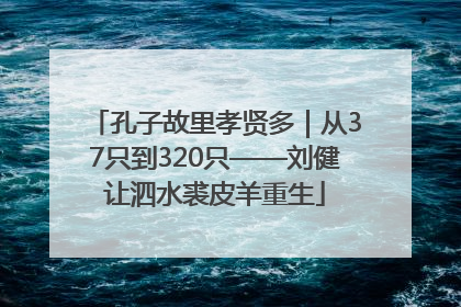 孔子故里孝贤多｜从37只到320只——刘健让泗水裘皮羊重生