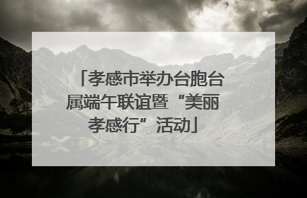 孝感市举办台胞台属端午联谊暨“美丽孝感行”活动
