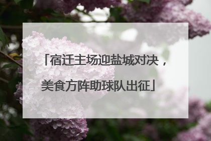 宿迁主场迎盐城对决，美食方阵助球队出征