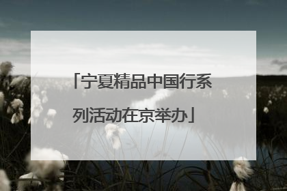宁夏精品中国行系列活动在京举办