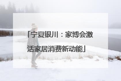 宁夏银川：家博会激活家居消费新动能