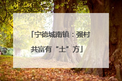 宁德城南镇：强村共富有“土”方
