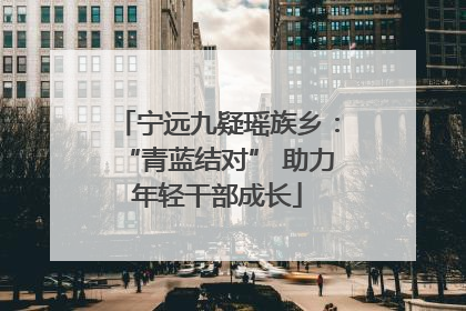 宁远九疑瑶族乡：“青蓝结对” 助力年轻干部成长