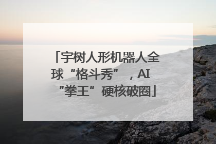 宇树人形机器人全球“格斗秀”，AI“拳王”硬核破圈