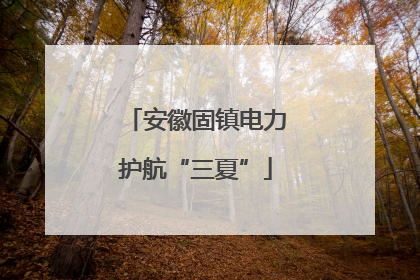 安徽固镇电力护航“三夏”
