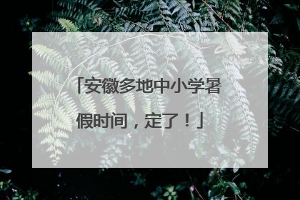 安徽多地中小学暑假时间，定了！