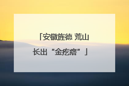 安徽旌德 荒山长出“金疙瘩”