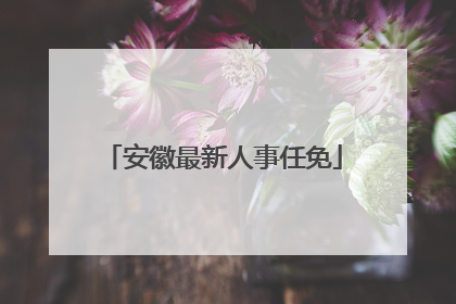 安徽最新人事任免