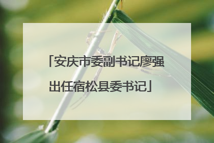 安庆市委副书记廖强出任宿松县委书记