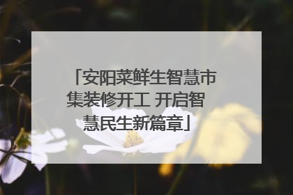 安阳菜鲜生智慧市集装修开工 开启智慧民生新篇章