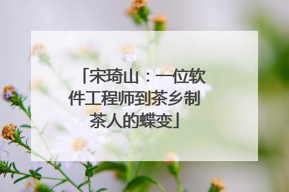 宋琦山：一位软件工程师到茶乡制茶人的蝶变