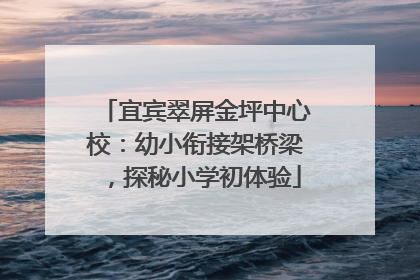 宜宾翠屏金坪中心校：幼小衔接架桥梁，探秘小学初体验
