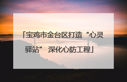 宝鸡市金台区打造“心灵驿站” 深化心防工程