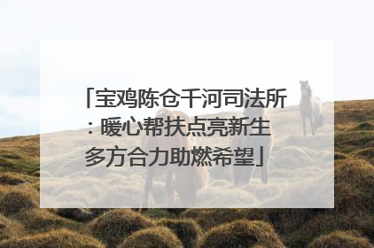 宝鸡陈仓千河司法所：暖心帮扶点亮新生 多方合力助燃希望