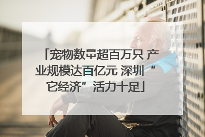宠物数量超百万只 产业规模达百亿元 深圳“它经济”活力十足