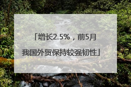 增长2.5%，前5月我国外贸保持较强韧性