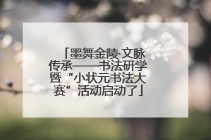 墨舞金陵·文脉传承——书法研学暨“小状元书法大赛”活动启动了