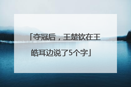 夺冠后，王楚钦在王皓耳边说了5个字