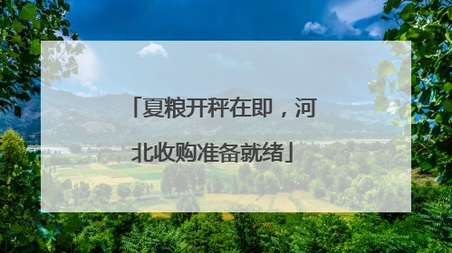 夏粮开秤在即，河北收购准备就绪