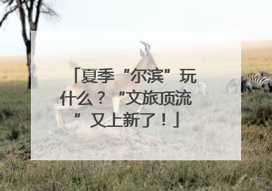 夏季“尔滨”玩什么？“文旅顶流”又上新了！