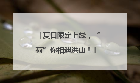 夏日限定上线，“荷”你相遇洪山！