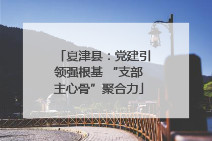 夏津县：党建引领强根基 “支部主心骨”聚合力
