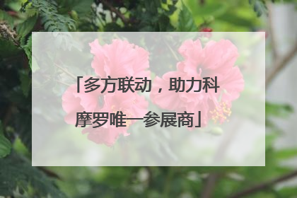 多方联动，助力科摩罗唯一参展商