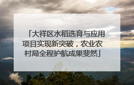 大祥区水稻选育与应用项目实现新突破，农业农村局全程护航成果斐然